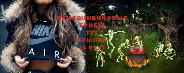 бошки Арсеньев